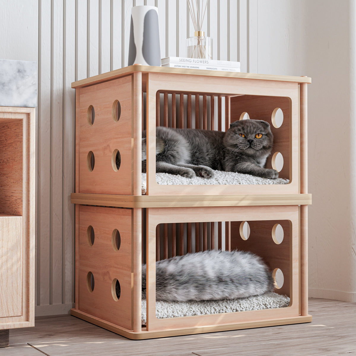 Petshop Evcil Hayvan